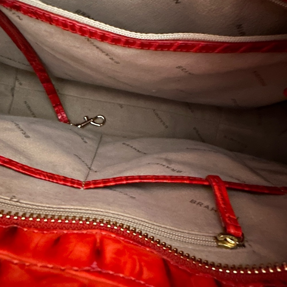 Brahmin Flame - image 2